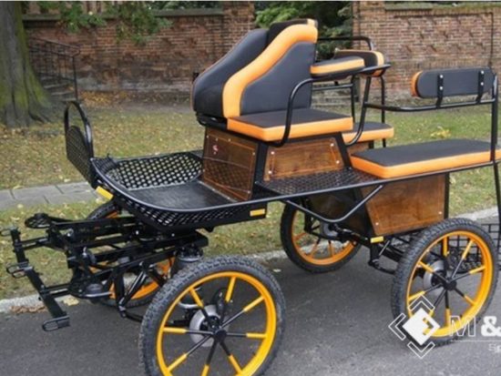 Wagonette Pony EN 2