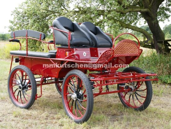 koets-kutsche-wagen-marathonwagen-fahrschulwagen-27-beleuchtung-luftfederung-handkurbelbremse-aufsteigshilfe-tür 
