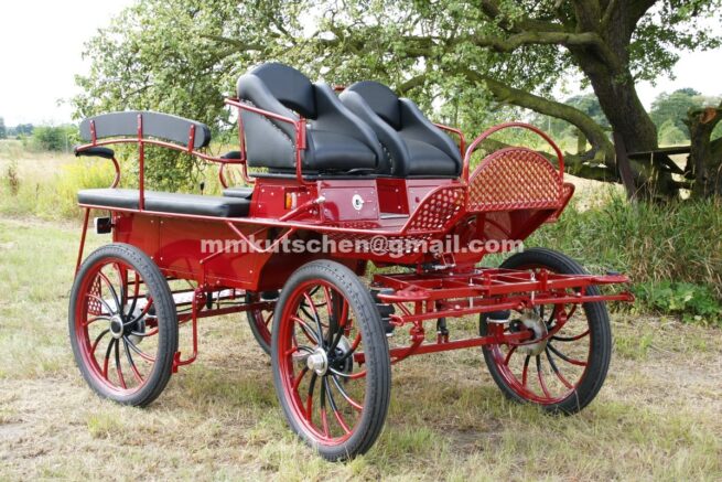 koets-kutsche-wagen-marathonwagen-fahrschulwagen-27-beleuchtung-luftfederung-handkurbelbremse-aufsteigshilfe-tür 