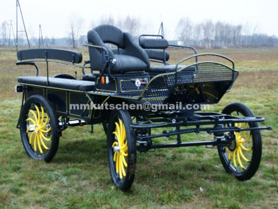koets-freizetikutsche-kutsche-fahrschulwagen-schwarzekutsche-beleuchtung-geschwunge-speichen-holzdeko-holzkutsche-mmkutschen