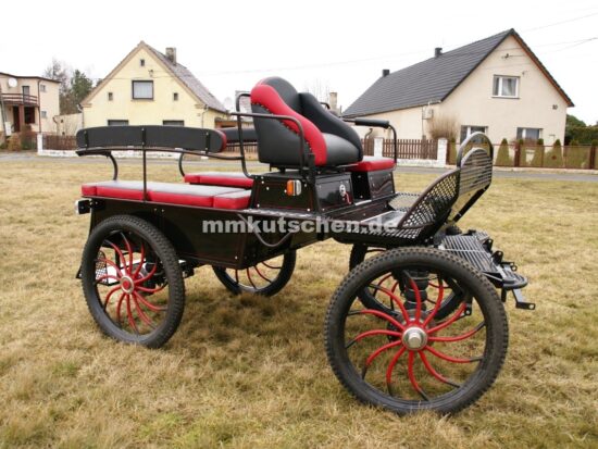 pferdekutsche-neue-kutsche-aus-polen-fahrschulwagen-15-b