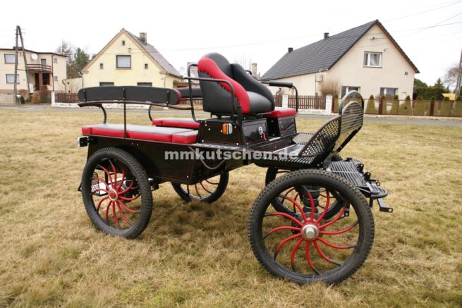 pferdekutsche-neue-kutsche-aus-polen-fahrschulwagen-15-b