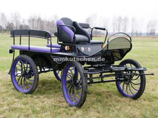koets-kutsche-wagen-marathonwagen-fahrschulwagen-29-beleuchtung-blinker-festnabe-luftfederung-deischel-schere-sitzbank-mmkutschen