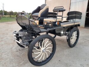 kutsche-wagen-marathonwagen-fahrschulwagen-23-kutsche-schwingsitz-scheibenbremsen -deichseldämpfer-staukästen-rader-mmkutschen-beleuchtung-kutschenlampenhalterung-einzelradaufhängung