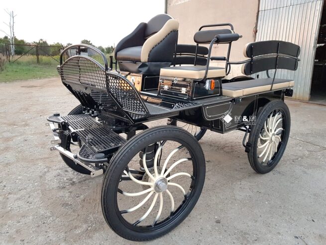 kutsche-wagen-marathonwagen-fahrschulwagen-23-kutsche-schwingsitz-scheibenbremsen -deichseldämpfer-staukästen-rader-mmkutschen-beleuchtung-kutschenlampenhalterung-einzelradaufhängung