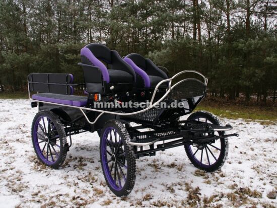 koets-freizeitkutsche-marathonwagen-wagonette-fahrschulwagen-35-luftfederung-scheibenbremsen-blinker--beleuchtung-mmkutschen-komfortsitze-spännerdeichsel-wechselradsystem-lenkverzögerung-feststellbremse-handkurbelbremse-drehkranzbremse-schwingsitz-doppelrücklehnen-staukästen-sitzbänke-edelstahlrohr