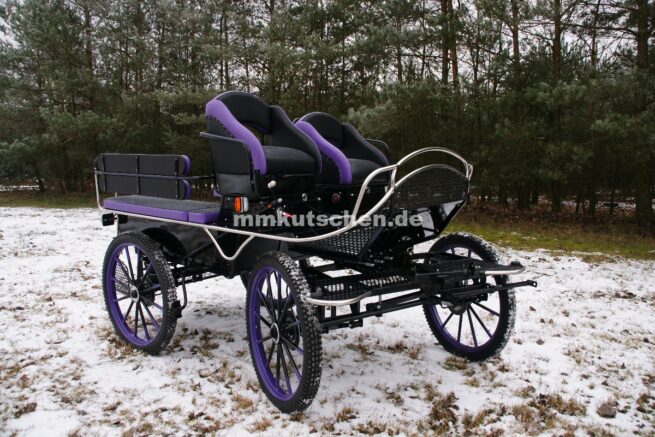 koets-freizeitkutsche-marathonwagen-wagonette-fahrschulwagen-35-luftfederung-scheibenbremsen-blinker--beleuchtung-mmkutschen-komfortsitze-spännerdeichsel-wechselradsystem-lenkverzögerung-feststellbremse-handkurbelbremse-drehkranzbremse-schwingsitz-doppelrücklehnen-staukästen-sitzbänke-edelstahlrohr