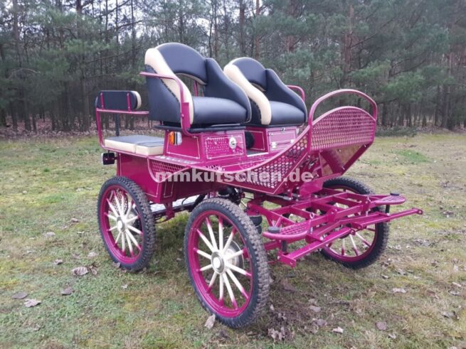 koets-kutsche-wagen-marathonwagen-fahrschulwagen-34-luftfederung-scheibenbremsen-staufächer-blinker--beleuchtung-mmkutschen-neue-kutsche