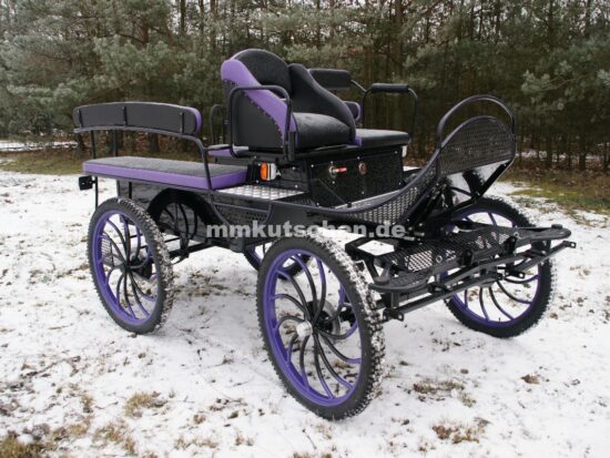 kutsche-wagen-marathonwagen-fahrschulwagen-28a-beleuchtung-luftfederung-aufsteigshilfe-tür-festnabe-mmkutschen