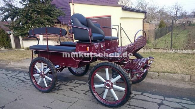 koets-freizeitkutsche-marathonwagen-wagonette-fahrschulwagen-36-luftfederung-scheibenbremsen-blinker--beleuchtung-mmkutschen