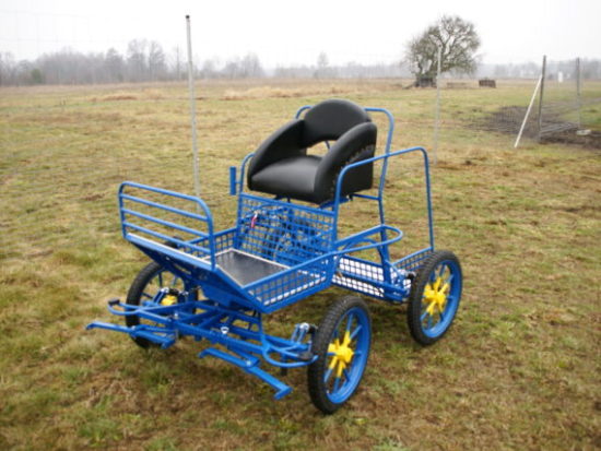 Pony Mini 1