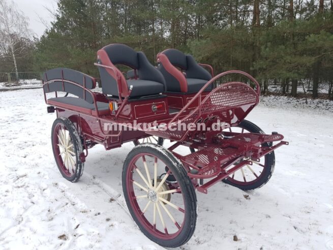 freizeitkutsche-marathonwagen-wagonette-fahrschulwagen-39-luftfederung-blinker-beleuchtung-scheibenbremsen-feststellbremse-handkurbelbremse-drehkranzbremse-doppelrücklehnen-staukästen-kutschenlampenhalterung-aufsteigshilfe-tür-komfortsitz-deichseldämpfer
