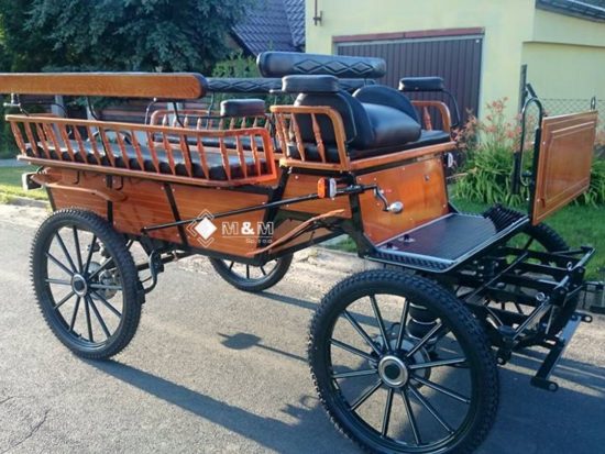 Wagonette 4