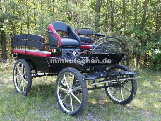 freizeitkutsche-marathonwagen-wagonette-fahrschulwagen-43-luftfederung-blinker-beleuchtung-scheibenbremsen-mmkutschen-doppelrücklehnen-staukästen-tür-deischeldampfer-edelstahlschrauben-sitzbank-bocksitze-aufsteigshilfe