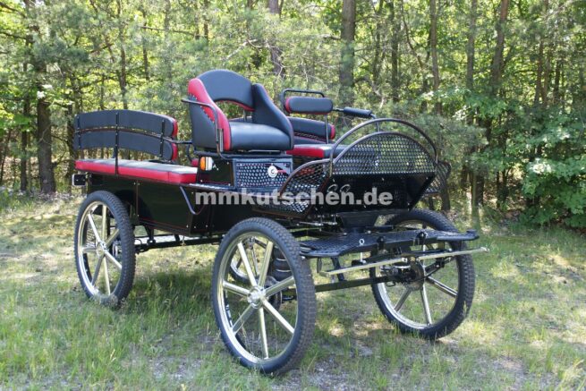 freizeitkutsche-marathonwagen-wagonette-fahrschulwagen-43-luftfederung-blinker-beleuchtung-scheibenbremsen-mmkutschen-doppelrücklehnen-staukästen-tür-deischeldampfer-edelstahlschrauben-sitzbank-bocksitze-aufsteigshilfe