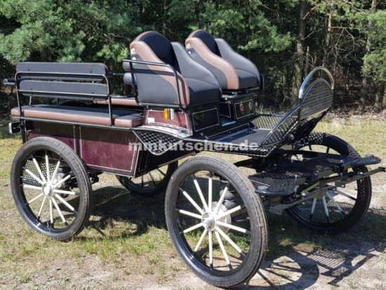 koets-kutsche-wagen-marathonwagen-fahrschulwagen-33-luftfederung-scheibenbremsen-staufächer-blinker--beleuchtung-aufsteigshilfe-mmkutschen-stauraum-sitzbanklänge-komfortsitz-rücksitzbank-holzdeko-holzkutsche