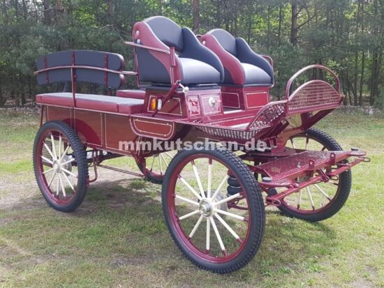 freizeitkutsche-marathonwagen-wagonette-fahrschulwagen-39a-luftfederung-blinker-beleuchtung-scheibenbremsen-feststellbremse-handkurbelbremse-drehkranzbremse-doppelrücklehnen-staukästen-kutschenlampenhalterung-aufsteigshilfe-tür-komfortsitz-deichseldämpfer