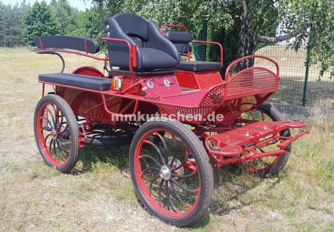 koets-kutsche-wagen-marathonwagen-fahrschulwagen-27-beleuchtung-luftfederung-handkurbelbremse-aufsteigshilfe-tür 