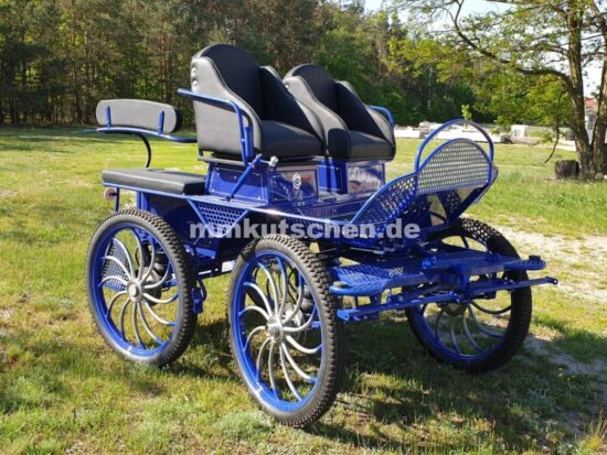 koets-pferdekutsche-052-a-fahrschulwagen-mmkutschen-blau-komfortsitz