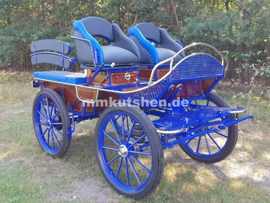 pferdekutsche-kutschen-aus-polen-freizeitkutsche-in-blau