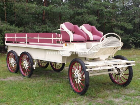 wagonette-5-pferdewagen-rosa-kutsche-pferdekutsche-kutsche-handkurbellbremse-blattfedrung-deichsel-schere-beleuchtung-blinker-aufstieghilfe-kutschlampenhalterung-spielwage-tür-luftfederung