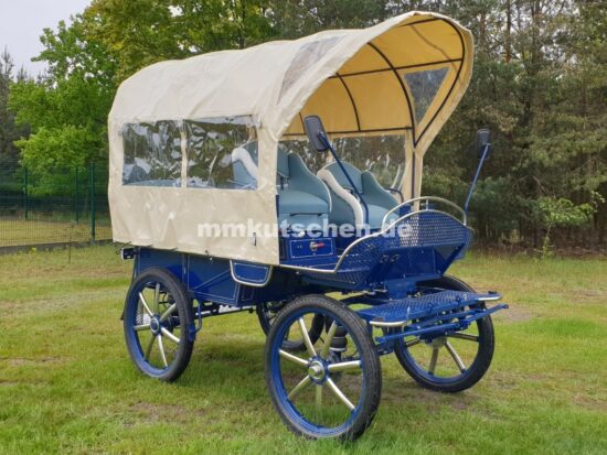 planwagen-pferdeplanwagen-27-kutsche-plane-blau-pferdekutsche-beleuchtung-aufstiegshilfe-doppelrucklehne-edelstahlrohr-schwingsitz-komfortsitz