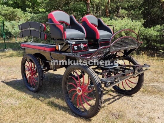 Fahrschulwagen 015f