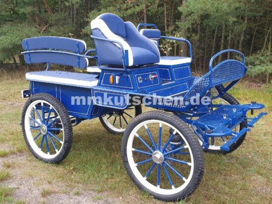 kutsche-fahrschulwagen-056-wagonette-handkurbelbremse-luftfederung-wechselradnabe-doppelrücklehnen-aufstiegshilfe